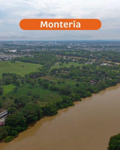 monteria